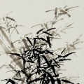 插图1